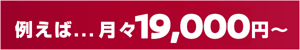 毎月らくらく 例えば...月々19,000円〜
