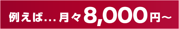 毎月らくらく 例えば...月々8,000円〜
