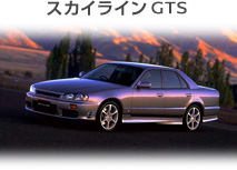 �X�J�C���C�� GTS