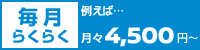毎月らくらく 例えば...月々4,500円〜