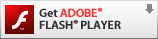 ADOBE FLASH PLAYER���_�E�����[�h