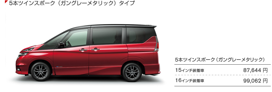 5本ツインスポークタイプ（ガングレーメタリック）