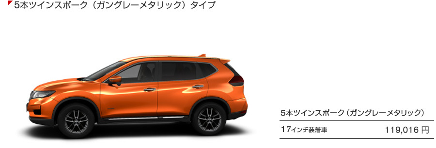 5本ツインスポークタイプ（ガングレーメタリック）