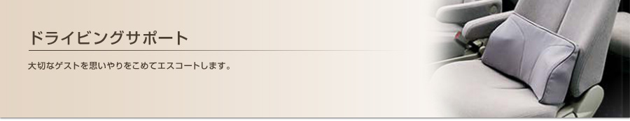 ドライビングサポート