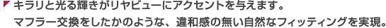 キラリと光る輝きがリヤビューにアクセントを与えます。マフラー交換をしたかのような、違和感の無い自然なフィッティングを実現。