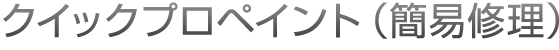 クイックプロペイント(簡易修理)