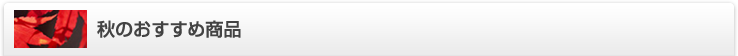 秋のおすすめ商品