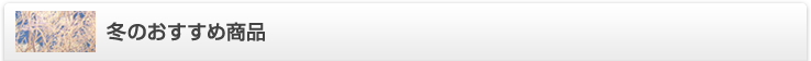 冬のおすすめ商品