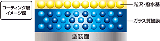 コーティング層イメージ図