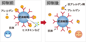 抑制前→抑制後