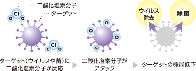 ウイルスや菌の機能を低下させる！