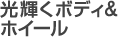 光輝くボディ＆ホイール