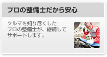 プロの整備士だから安心

								クルマを知り尽くしたプロの整備士が、継続してサポートします。