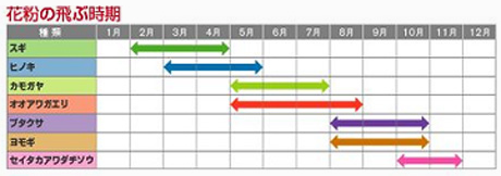 花粉の飛ぶ時期