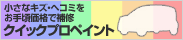 クイックプロペイント