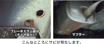 ����ȂƂ���ɃT�r���������܂��B